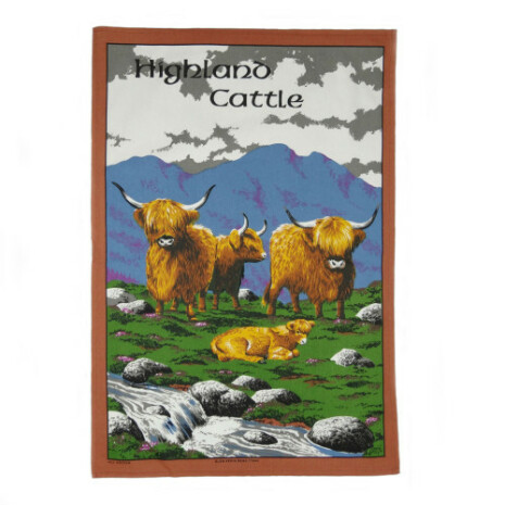 Kkshandduk - Highland cattle  