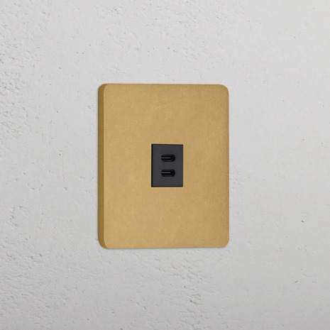 Dubbelt USB-C uttag Antique Brass/Svart