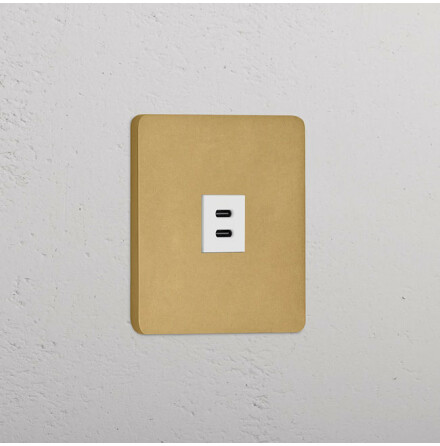 Dubbelt USB-C uttag Antique Brass/Vitt
